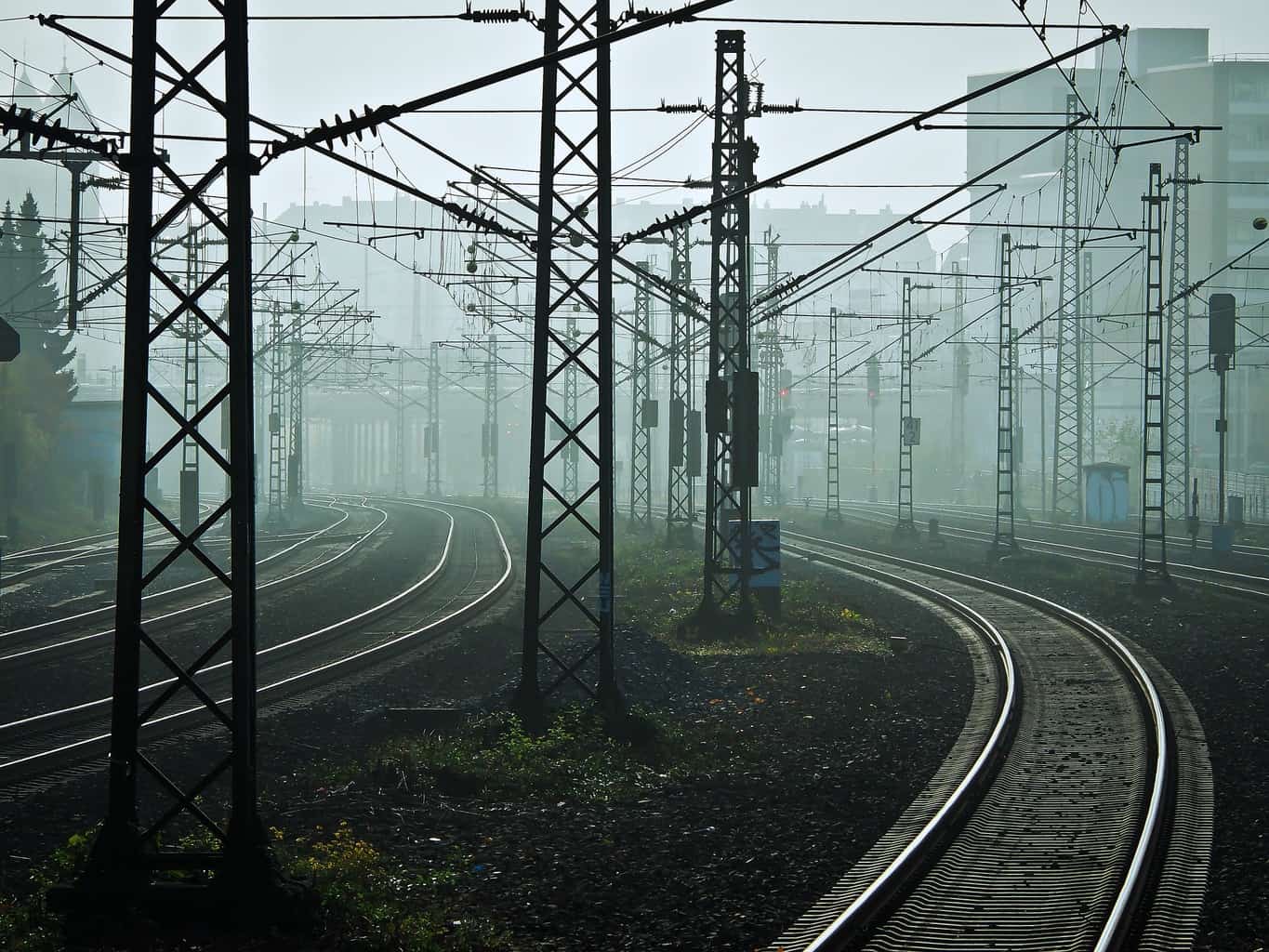 Kein Krebs durch Elektrosmog?